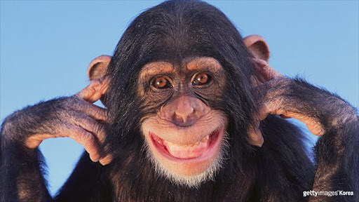 "딥시크로 나스닥 나락갔다 왜 슬퍼해? ㅋ"_5.jpg