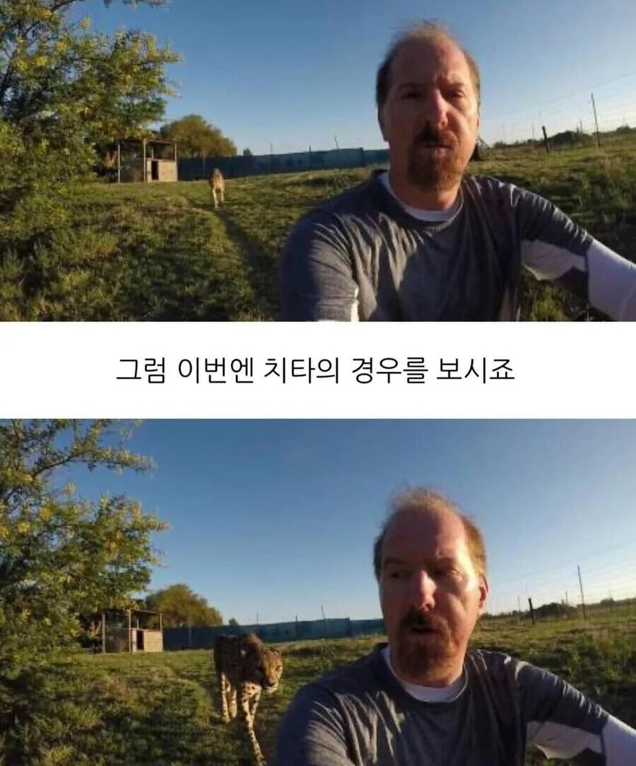 맹수들에게 등을 보이면 안되는 이유.jpg_4.jpg