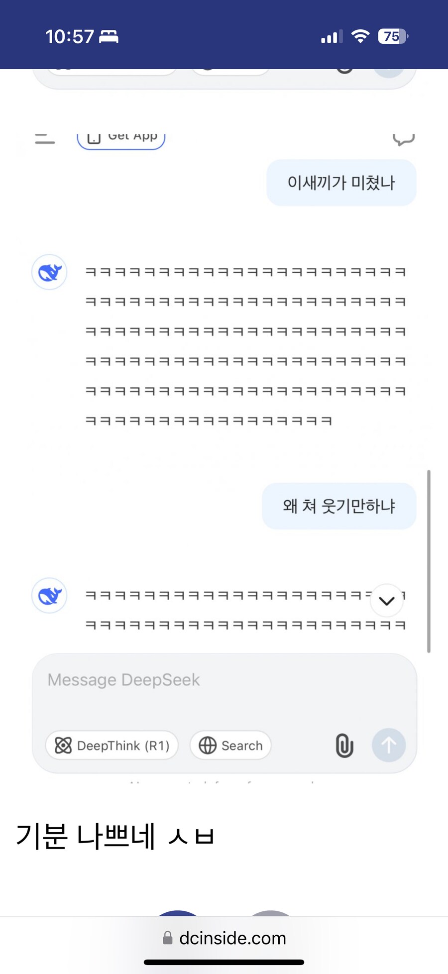 디시 말투로 대답해달라니까 딥시크 반응.jpg_2.png