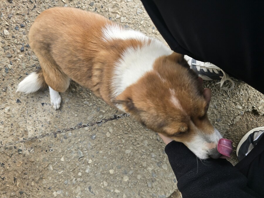 명절 큰집 시고르 자브종 근황_14.jpg