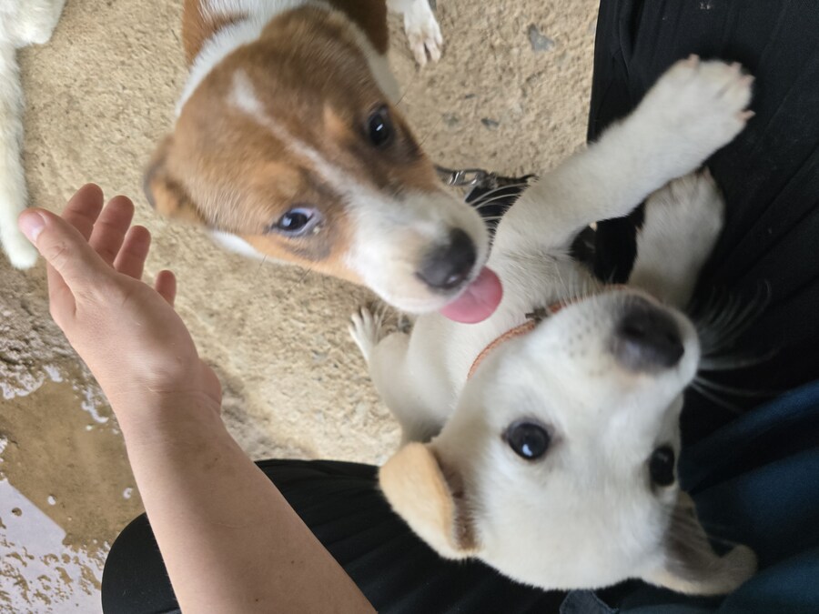 명절 큰집 시고르 자브종 근황_8.jpg