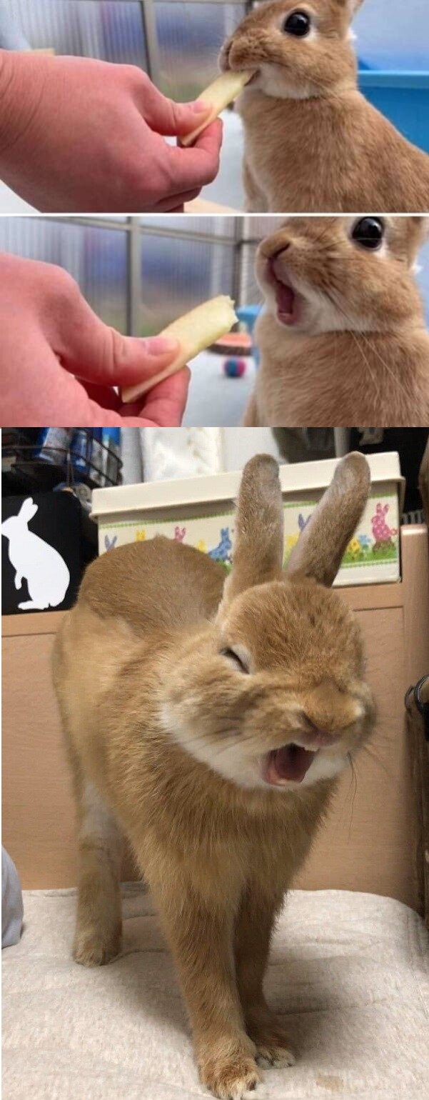 의외로 풀버전 본 사람이 드문 짤_1.jpg