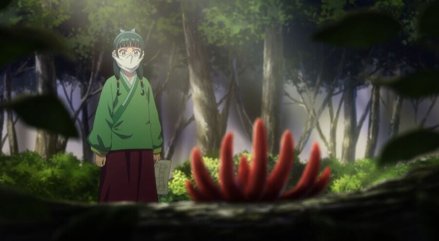 약사의혼잣말) 붉은사슴뿔버섯_1.jpg