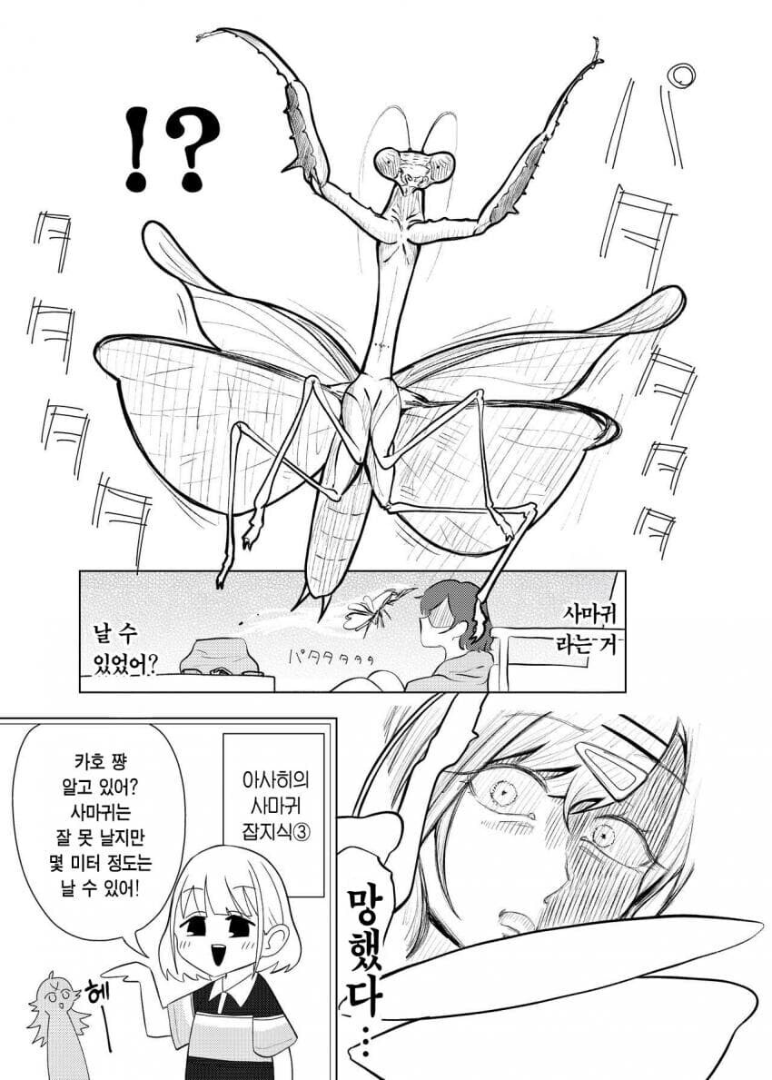 @) 사마귀랑 싸우는 히구치 마도카 만화_16.jpg