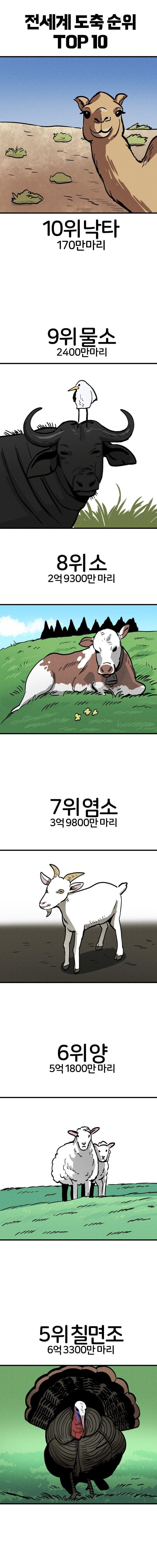 전세계에서 1년동안 도축되는 동물순위 jpg_1.jpg
