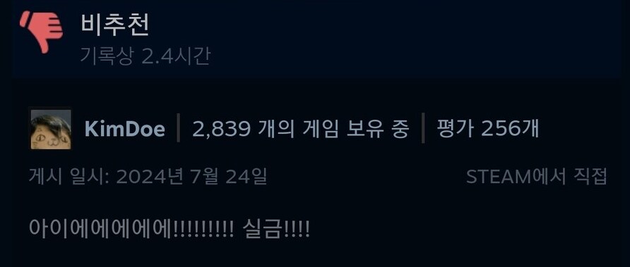 닌자 슬레이어)골때리는 스팀 게임 평가_1.png