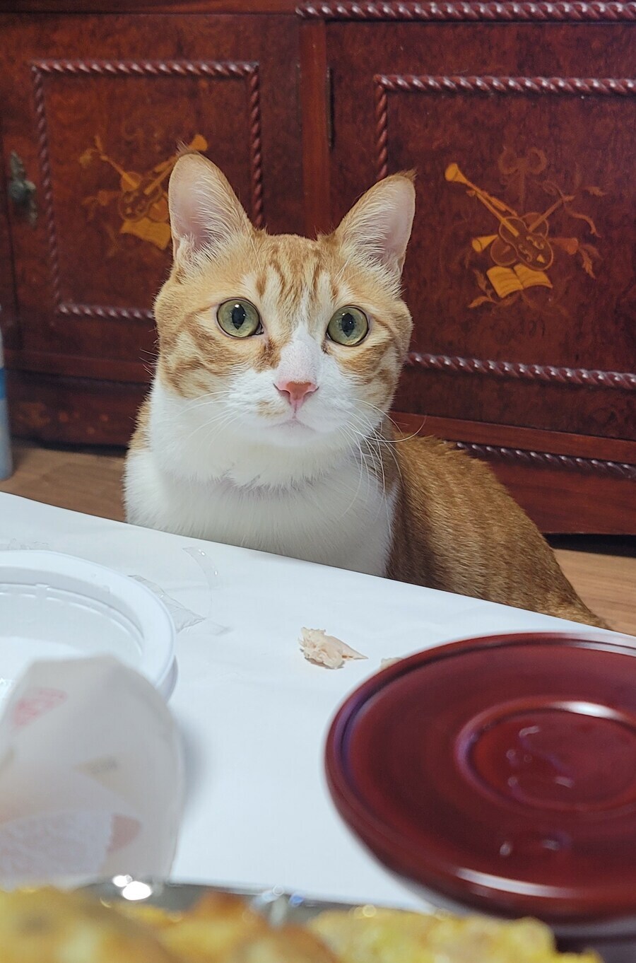 방금 밥먹다가 등골 싸늘했음_1.png