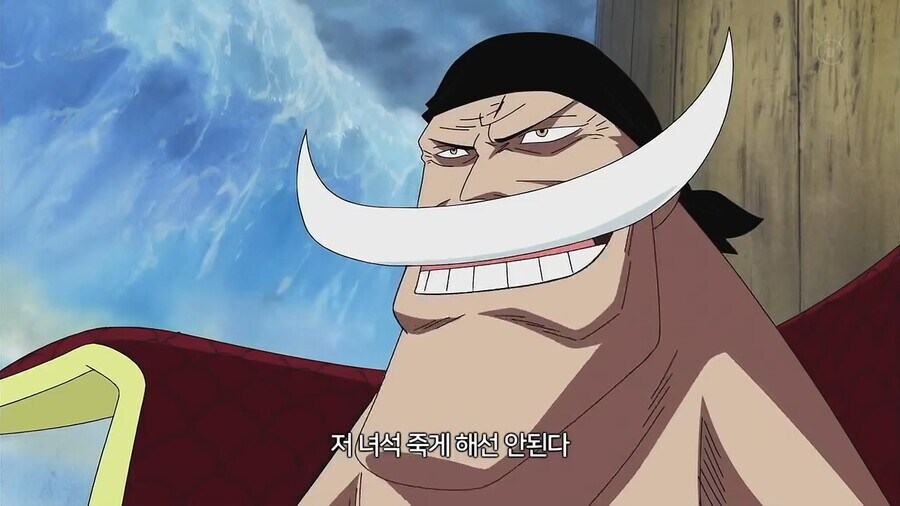 원피스 흰수염이 루피를 사수하라 한 이유_3.jpg