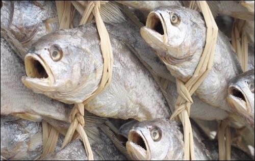 공포/혐)유게이들의 피규어는 명절을 잘 넘겼지?_4.jpg