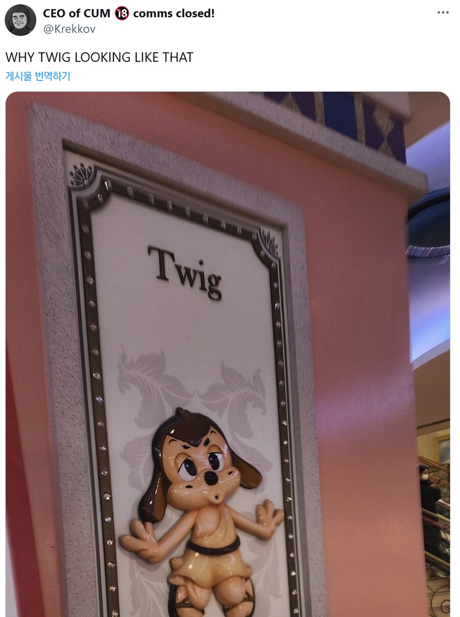 50만 팔로워 야짤러의 한국여행기.jgp_8.png