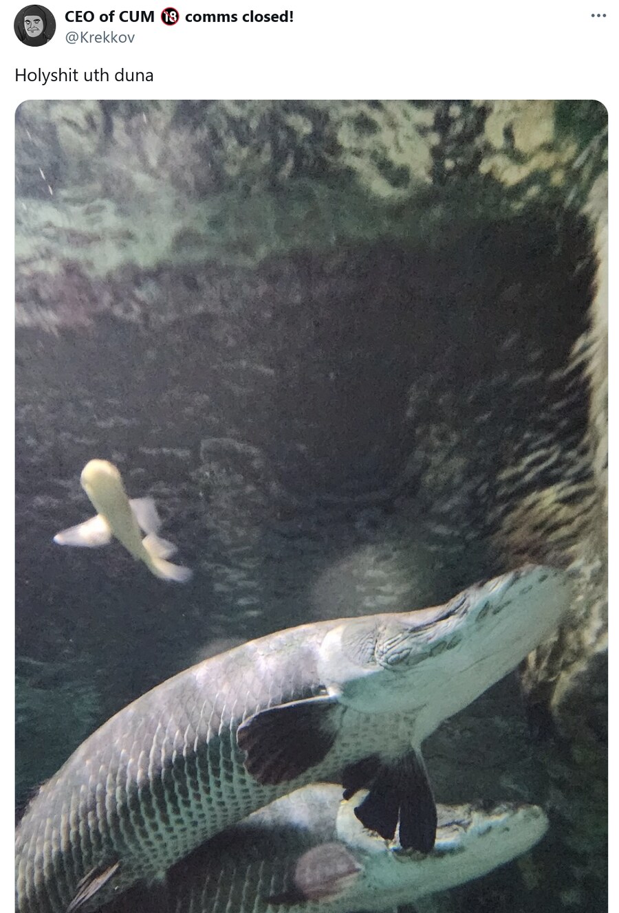 50만 팔로워 야짤러의 한국여행기.jgp_9.png