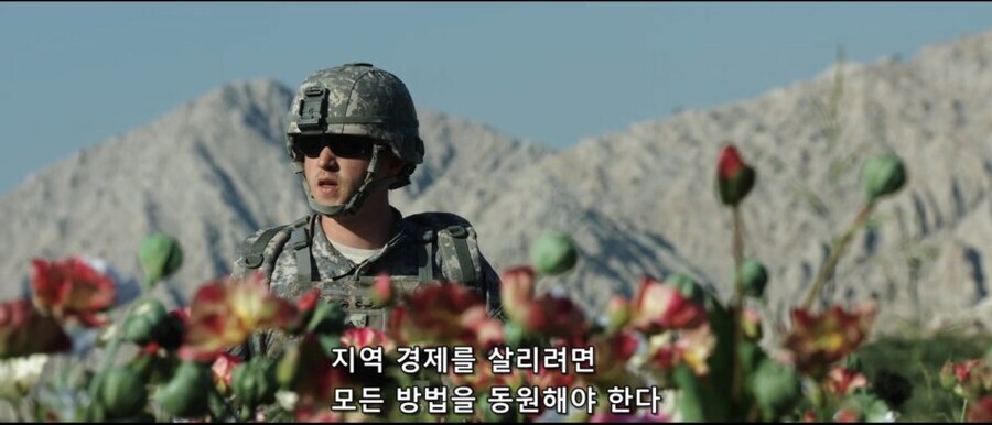 아프가니스탄 재건사업 중에 양귀비 재배가 계속된 이유_1.jpg