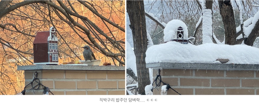 2025년 올해는 눈뱀을 빚어 보았습니다._3.png