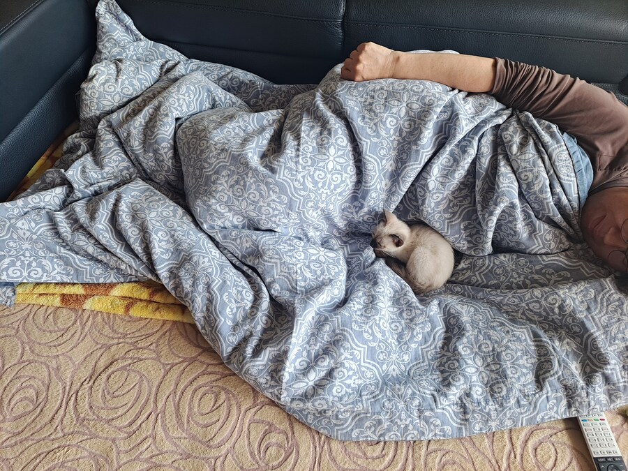 우리집 충묘 사진 좀 보세요~~~_3.jpg