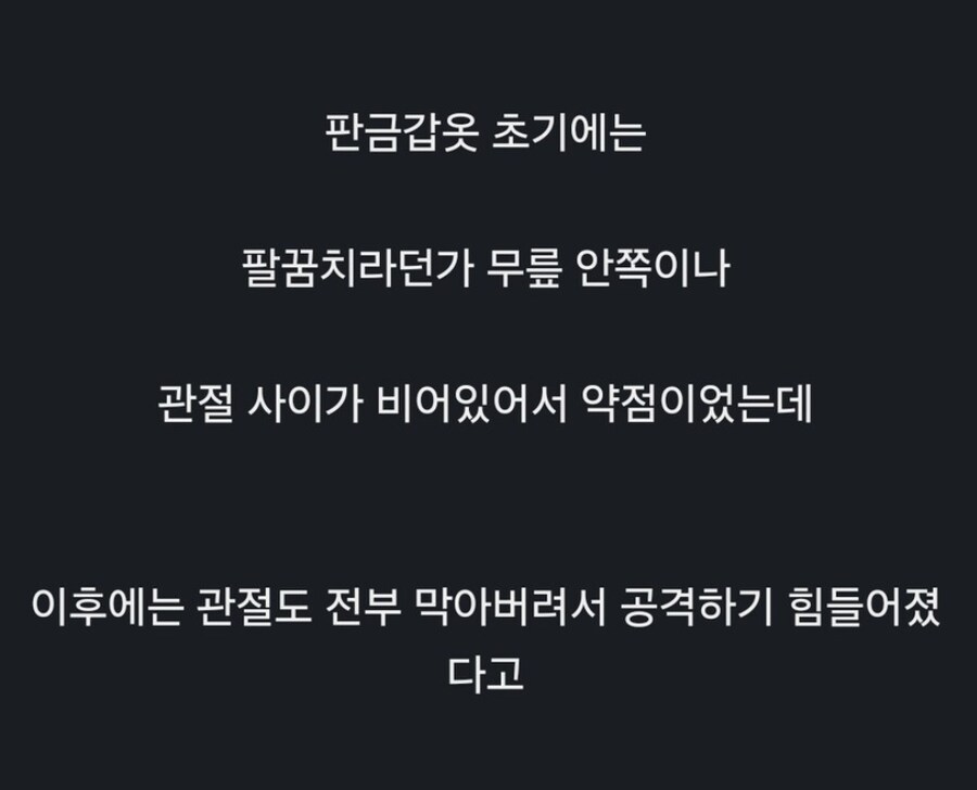 기존 갑옷의 약점을 보강한 판금갑옷.JPGIF_2.jpg