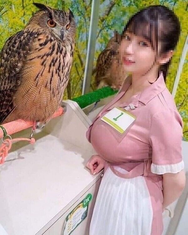 생각이상으로 은근히 커다란 부엉이.jpg_1.png