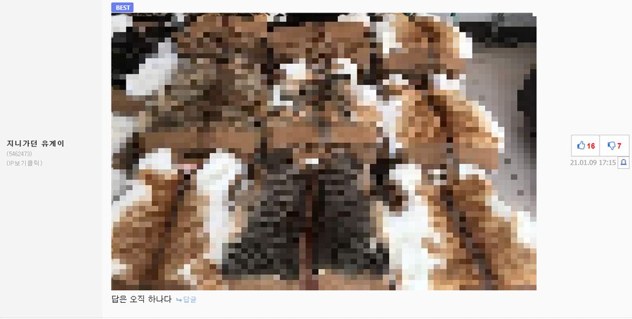 빌런)이 사람은 아이디가 대체 몇개일까요?_7.png