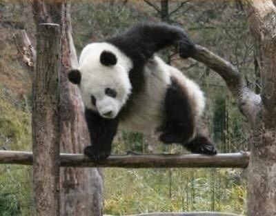 일본 자위대 촬영 이벤트에 놔둔 경고판_5.jpg