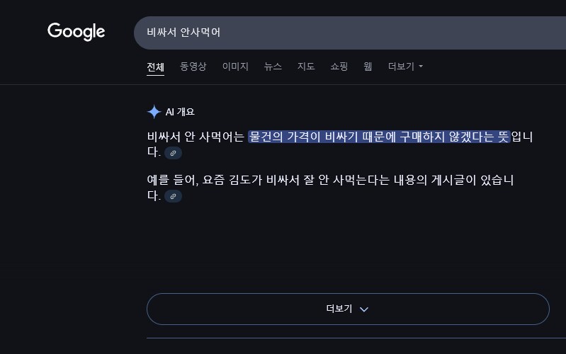 구글 AI 정체 탄로 났네_1.png