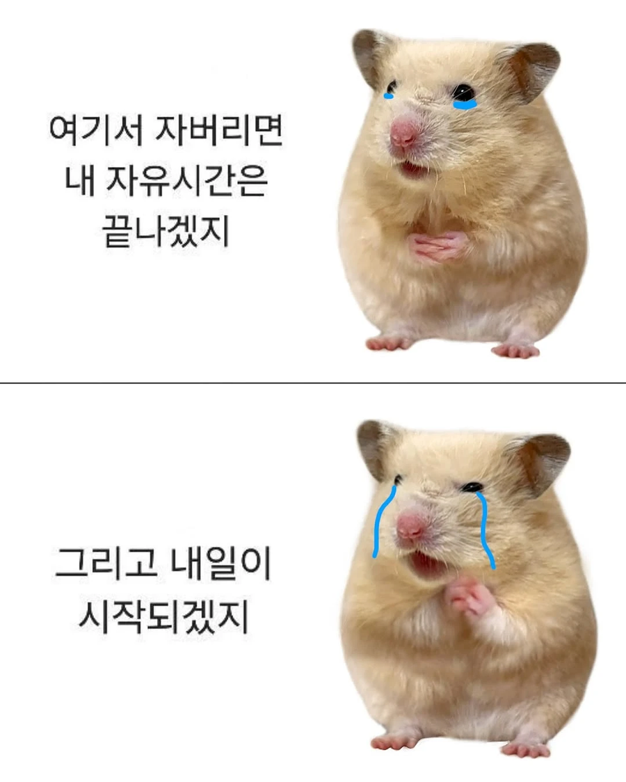 직장인 잠들기전 최대의 고민.JPG_1.webp