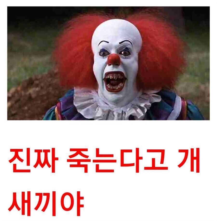 트럼프: 내 관세 조치에 반대하면 중국 간첩임_4.jpg