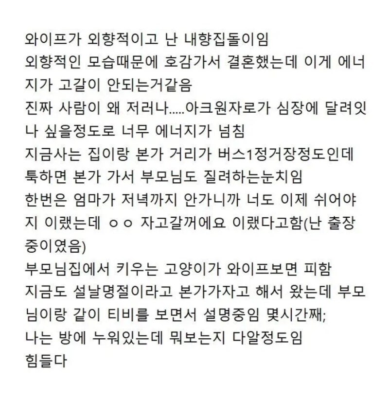 외향적인 며느리가 부담스러운 내향형 시댁_1.jpg