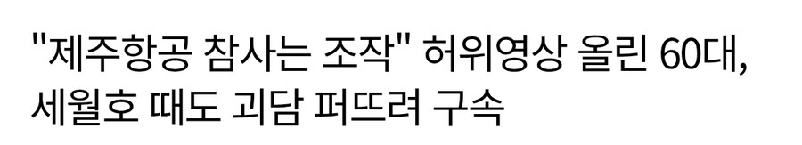 제주항공 참사 조작이라던 60대 과거_1.jpg