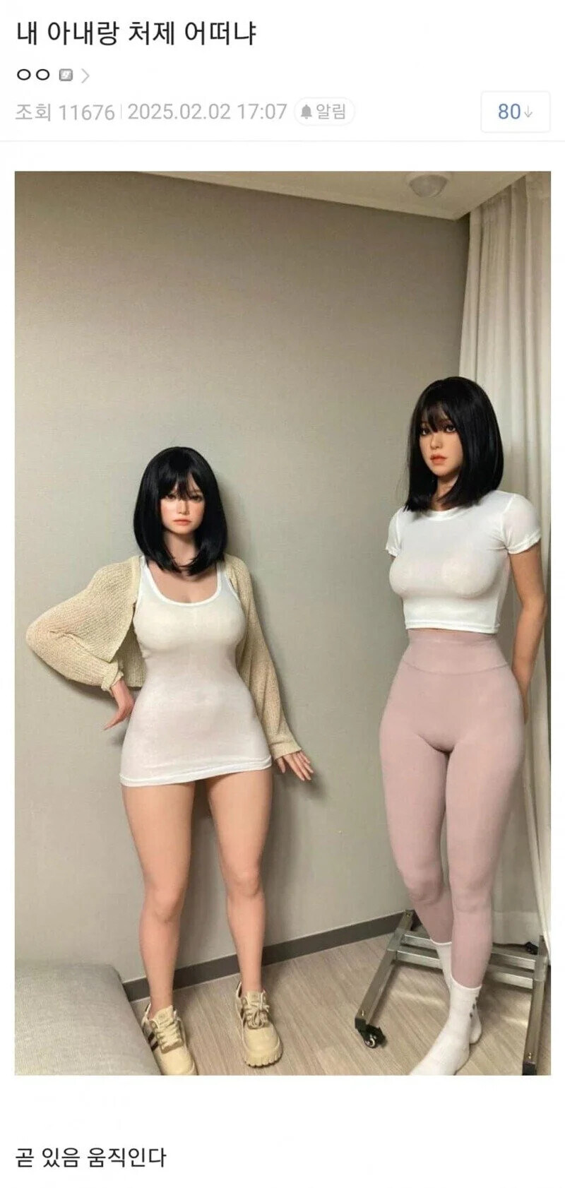 내 아내랑 처제 어떠냐.jpg_1.jpg