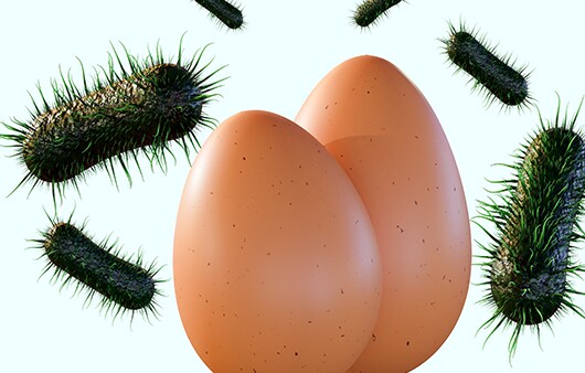 공주님도 뿅가죽는 일본의 날계란밥_5.png