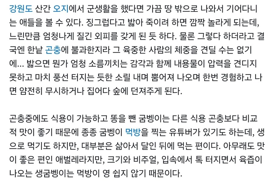 크아악 나무위키 ㄱㅅㄲ야!!_1.jpg