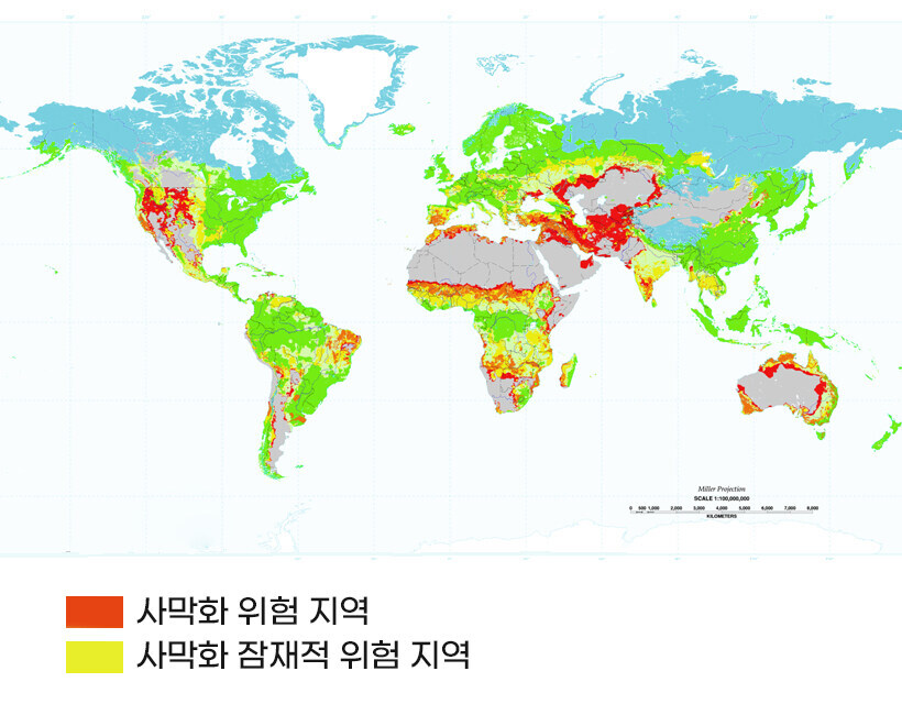 사막에 나무심기가 한반도 녹화사업과 기본전제부터 틀린이유_1.jpg