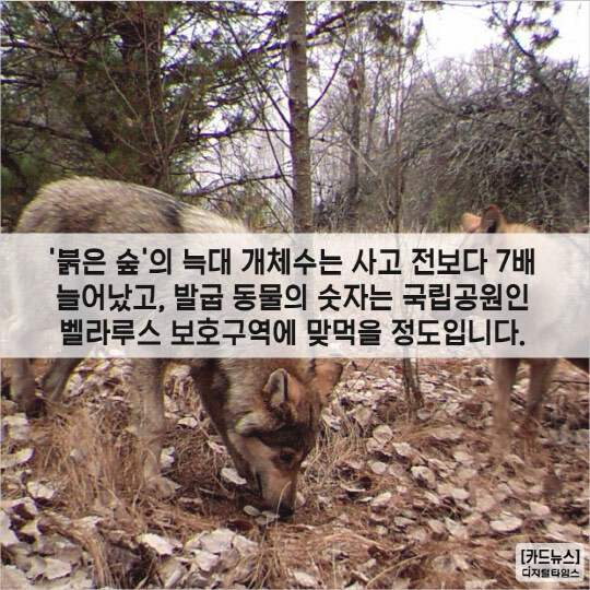 어느환경학자가 아마존에 방사능 폐기물을 버리자고 주장한 이유_2.jpg