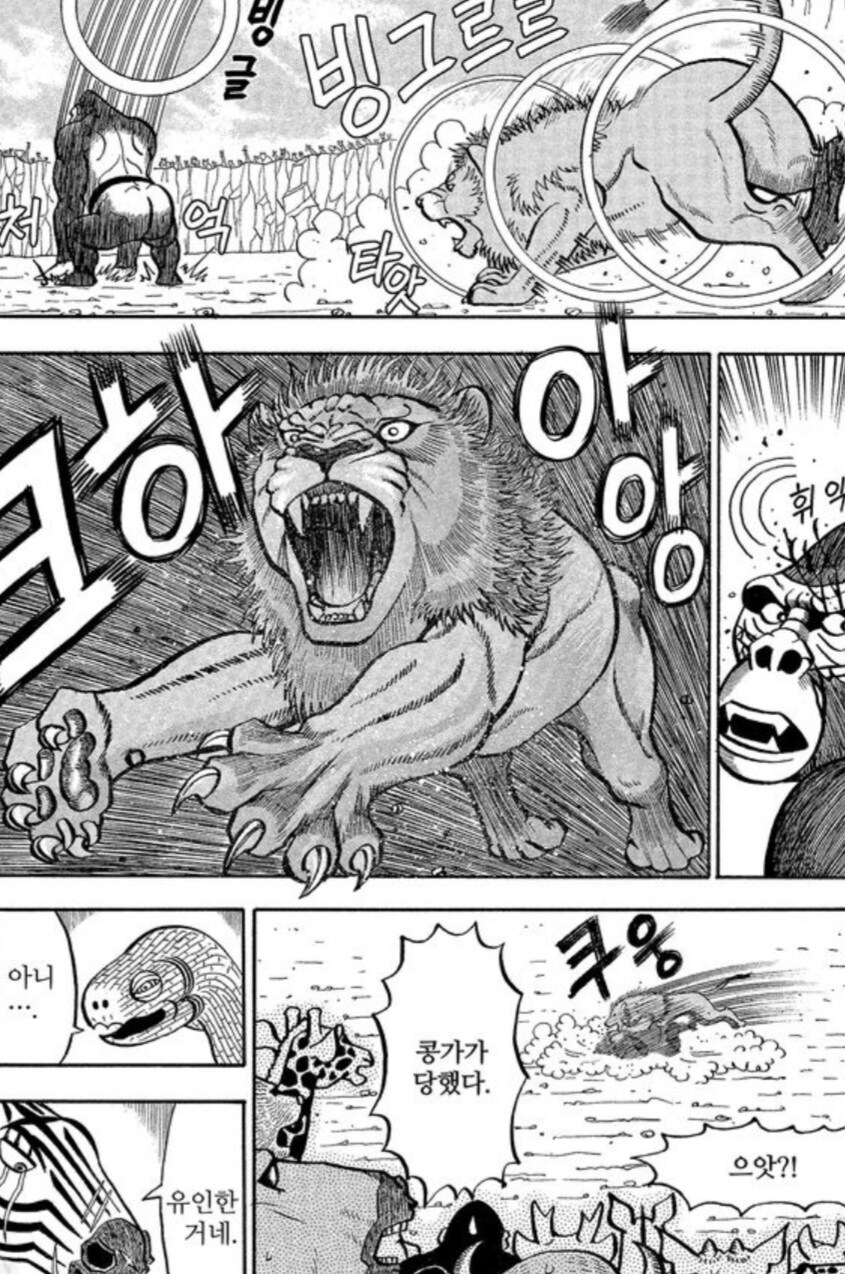 사자를 격투기로 이길 수 없는 이유.manwha_5.jpg