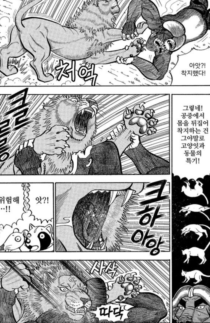 사자를 격투기로 이길 수 없는 이유.manwha_7.jpg