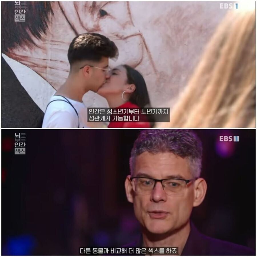 성관계를 가장 많이 하는 동물.jpg_1.jpg