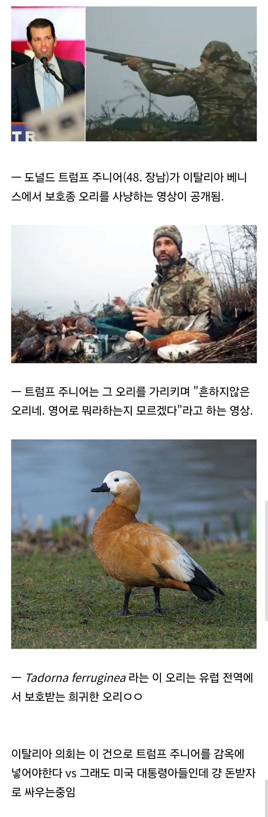 이탈리아에서 사고친 트럼프 대통령의 장남_1.jpg