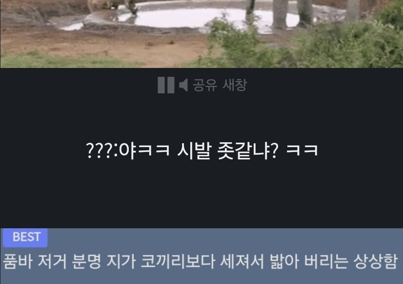 전문가] 인생경험에서 우러나온 유게이들의 액기스드립_2.jpg