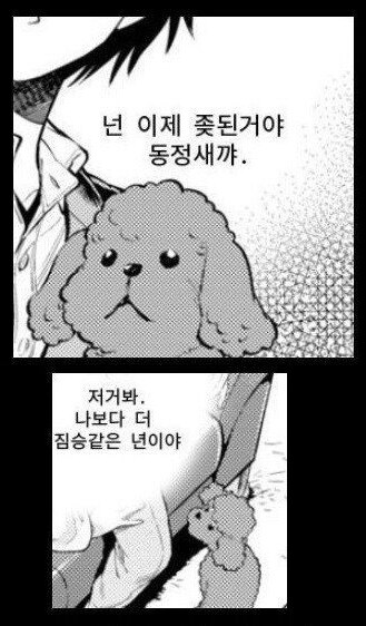 순애.Manhwa_2.jpg