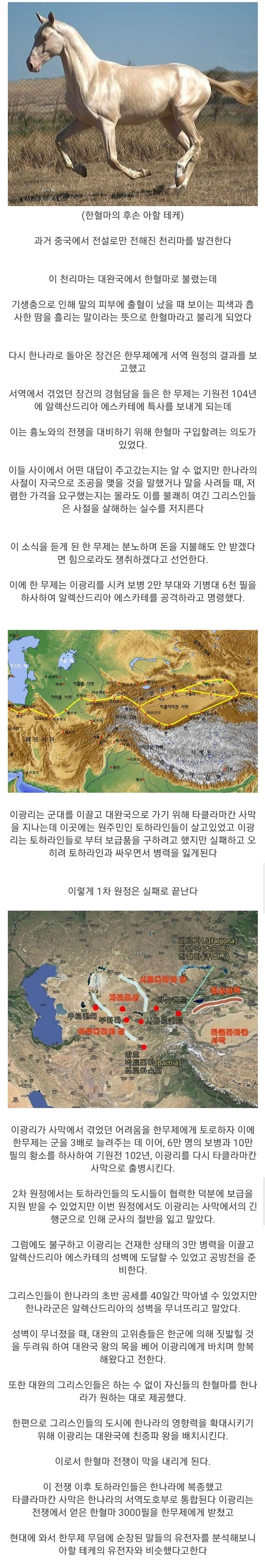 사신 : 님들 말 품종 좋아보이는대 좀 팔면안됨? -> 댕강.img_1.png