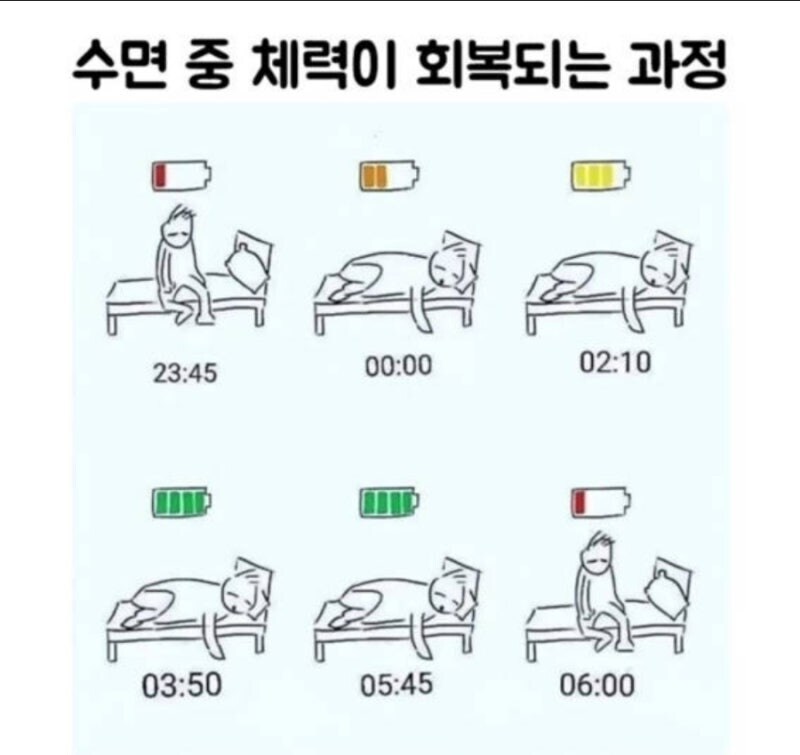 수면 중 체력이 회복되는 과정_1.jpg