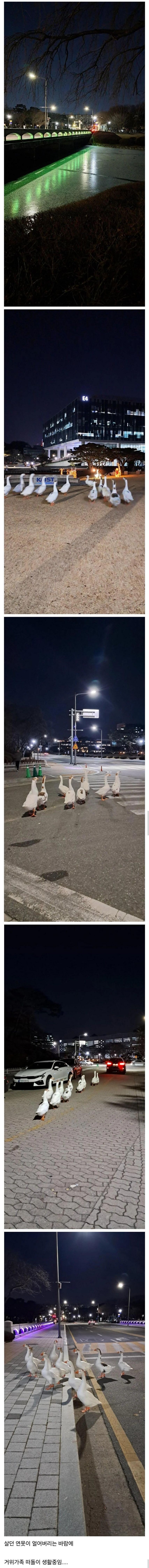 연못이 얼어버린 카이스트 근황.jpg_1.jpg