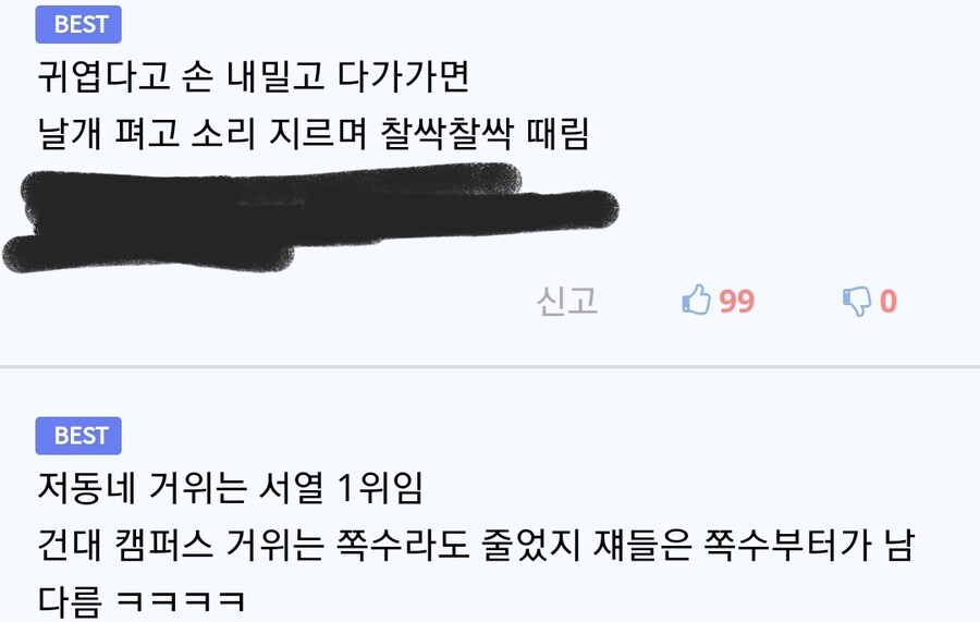 연못이 얼어버린 카이스트 근황.jpg_3.jpg