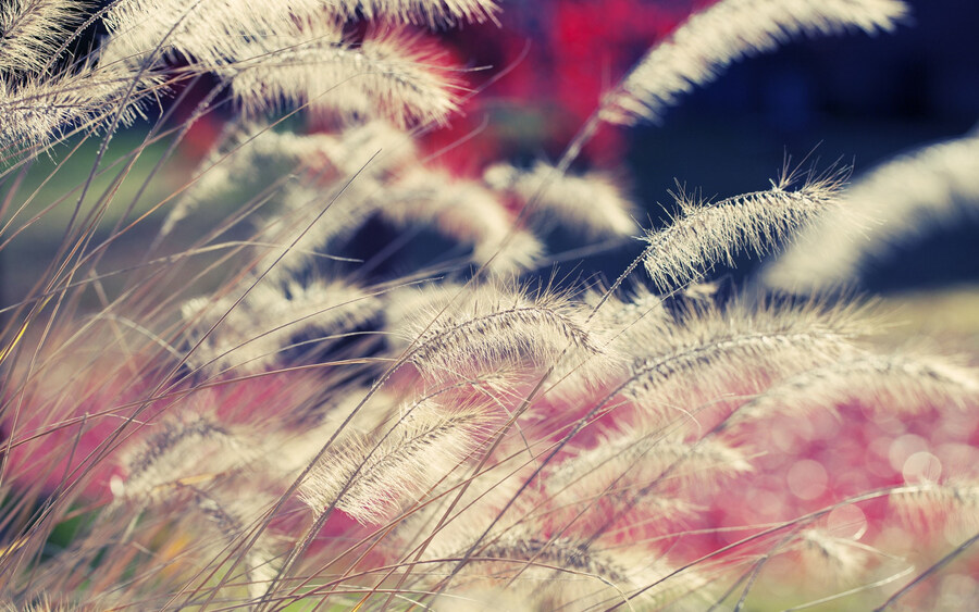 자연풍경 배경화면 모음_5.jpg
