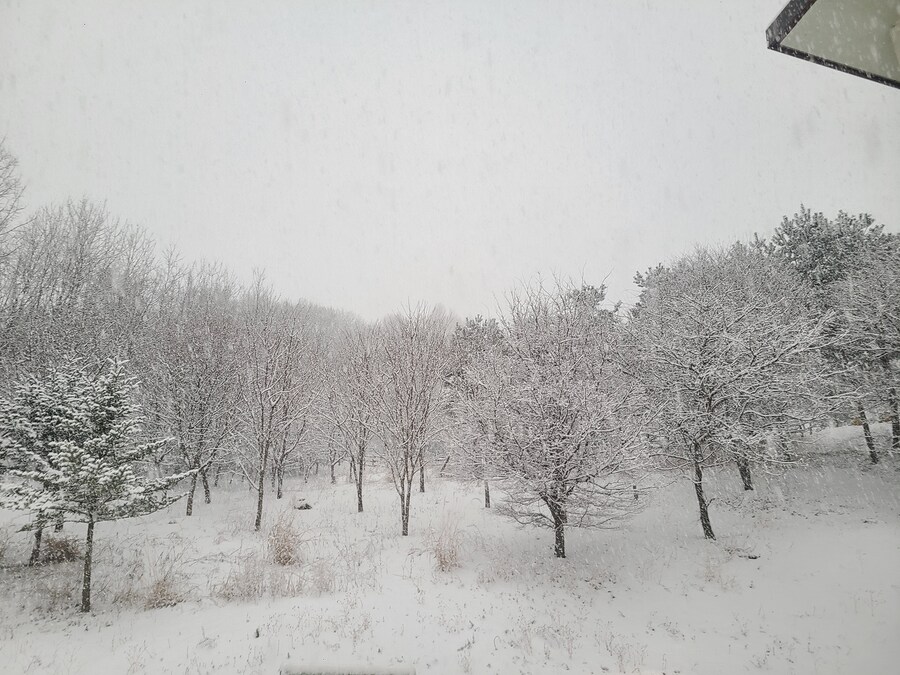 제설 한번 했습니다..._1.jpg