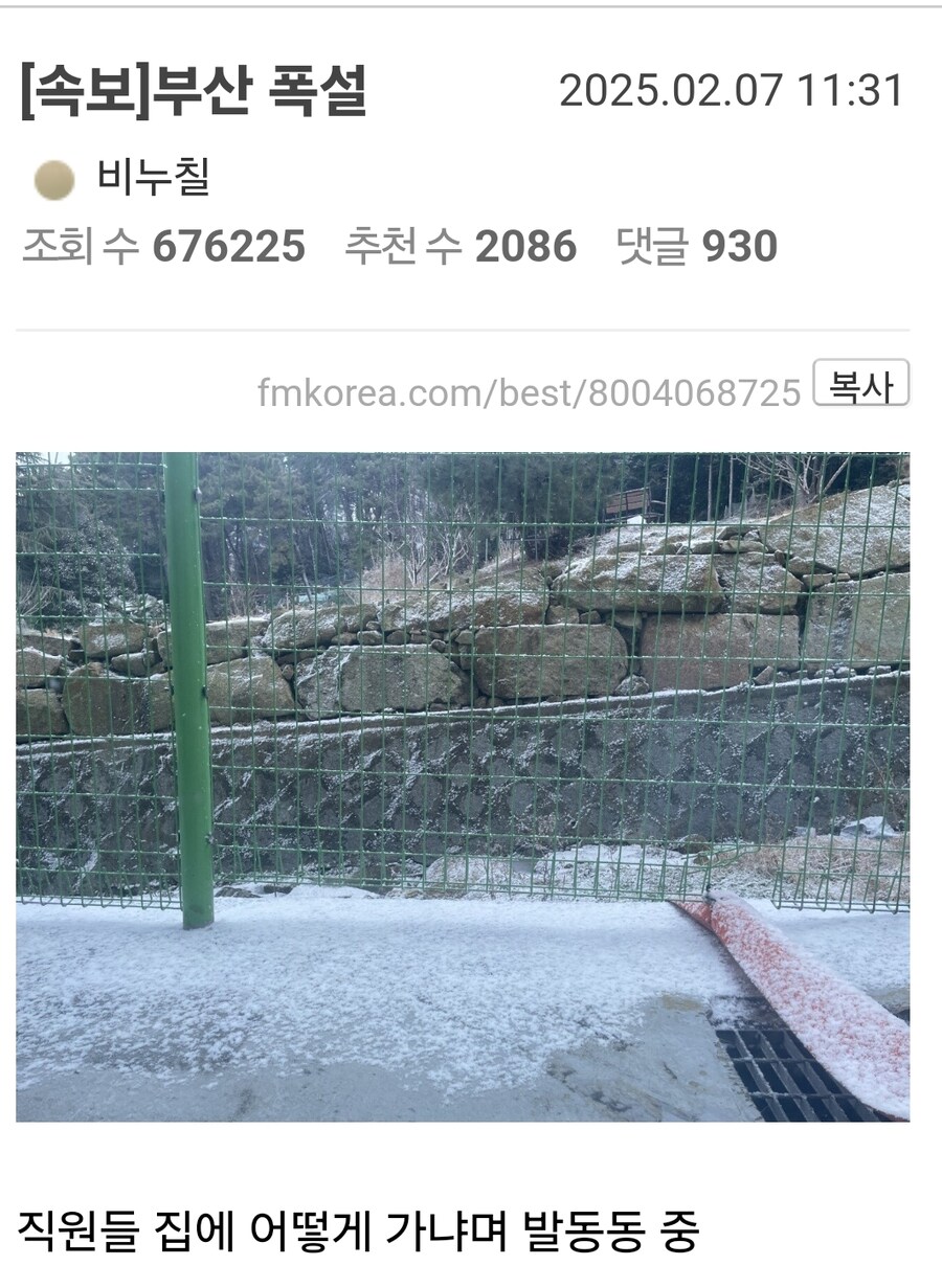 부산 폭설 발 동동 집 어찌 가냐 걱정중_1.jpg