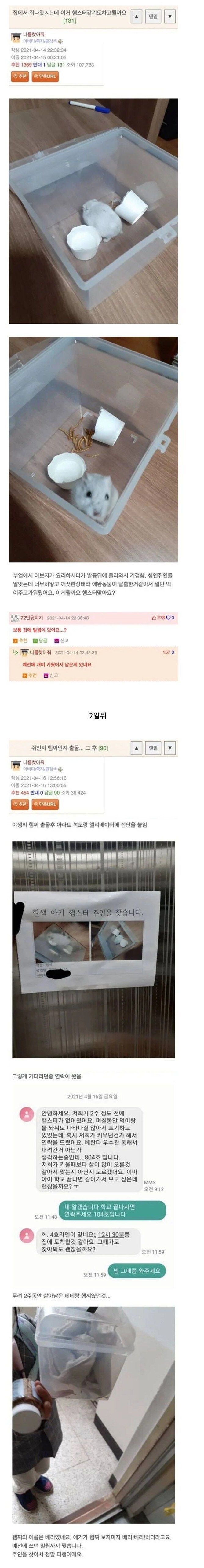 집에서 쥐가 나온 웃대인_1.jpg