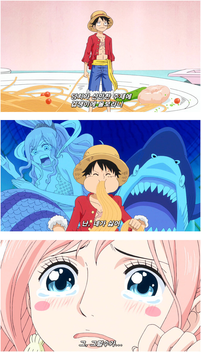 원피스 루피가 싫어하는 히로인_1.jpg