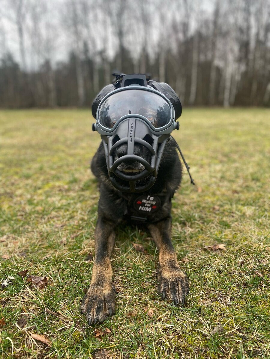 군견용 마스크.jpg_2.jpg
