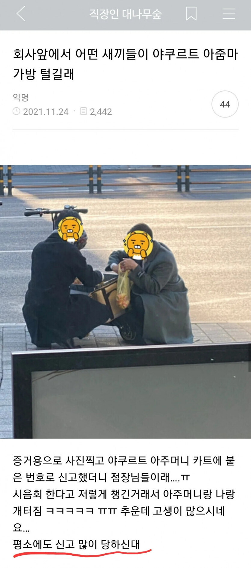 이놈의 도둑놈의 새1끼들 감히 야쿠르트 아줌마 가방은 털어!?_1.jpg