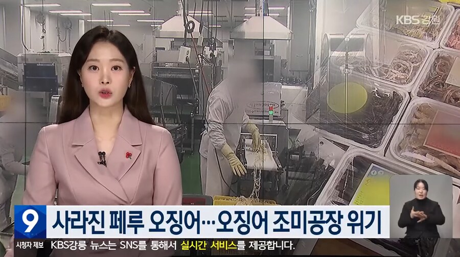 이슈) 진미채, 오징어 안주, 등등 오징어 가공류 근황 ㄷㄷ.jpg_1.png